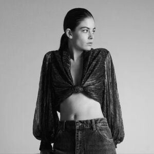 ZARA METALLIC THREAD CROP TOP